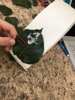 How To Make A Laurel Wreath