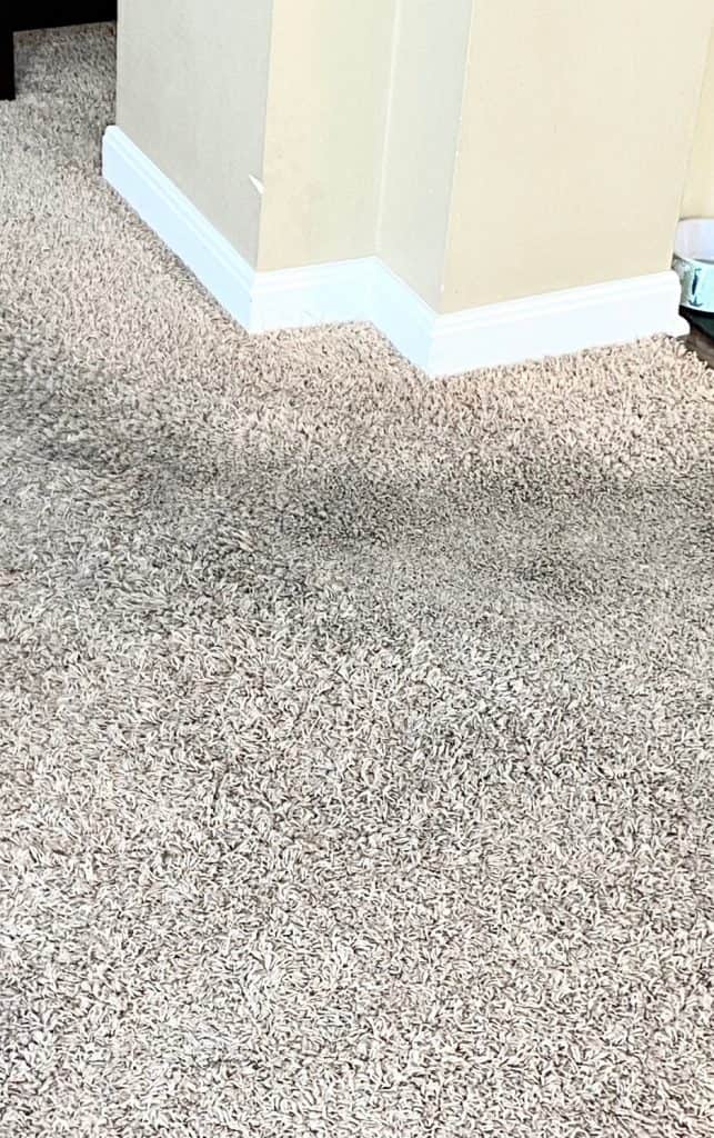 dirty house dirty carpets