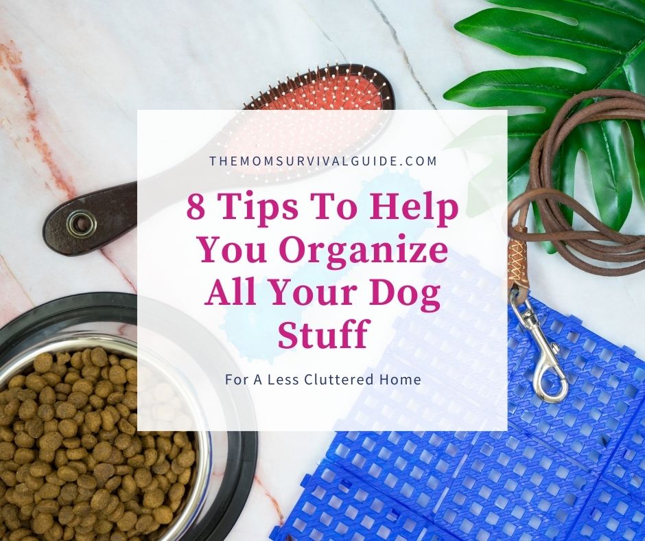 organize dog stuff feature image