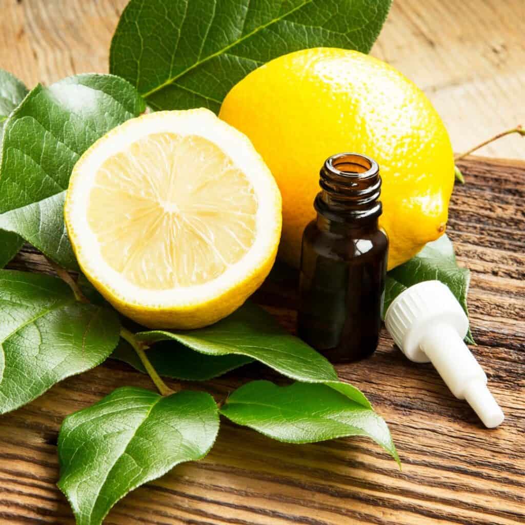 yellow lemons green leaves and a brown bottle with a white top laying next to it