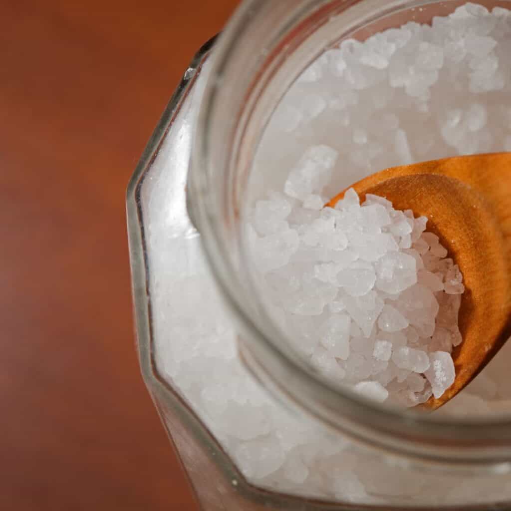 how to get rid of smell in garbage disposal salt