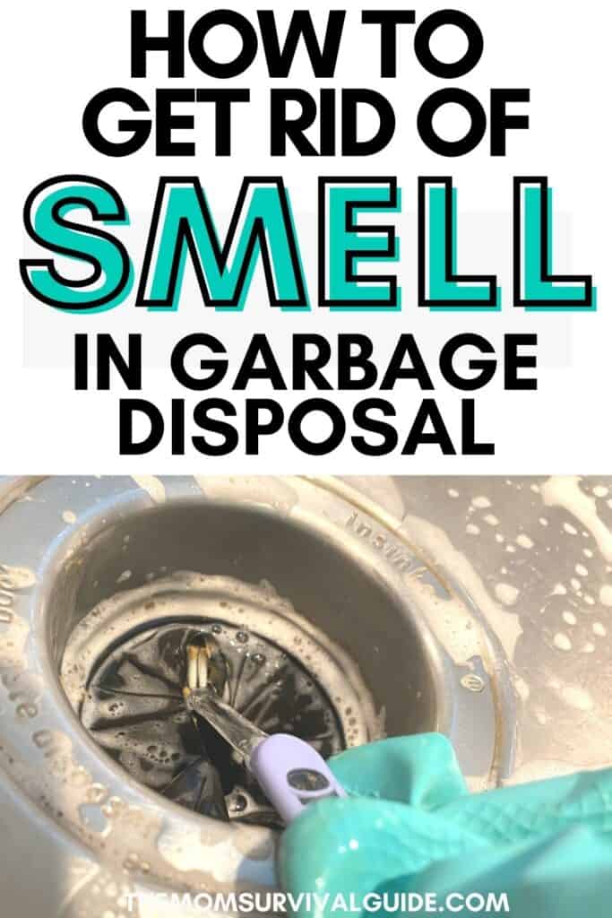 how to get rid of smell in garbage disposal pin green