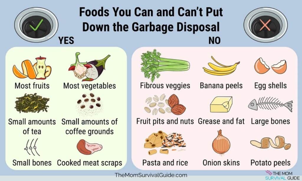 what to put in the garbage disposal and what not to put in the garbage disposal